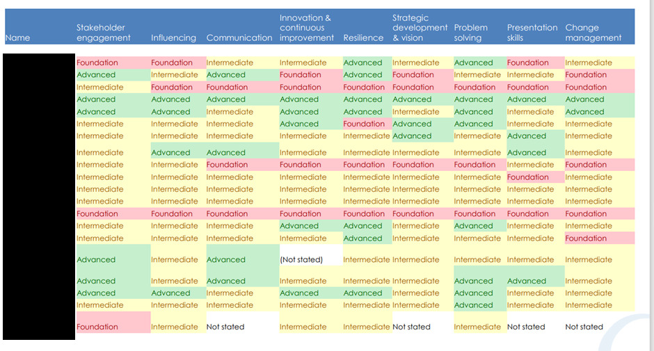 Power BI Dashboard Creation for Talent Competency Model